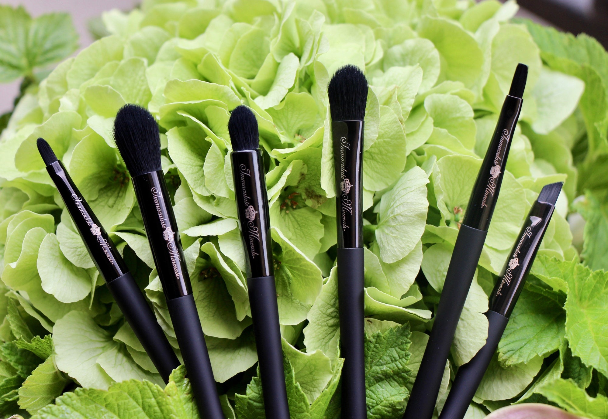 Immaculate Diamond Brow Angle Brush - Images by Miriam