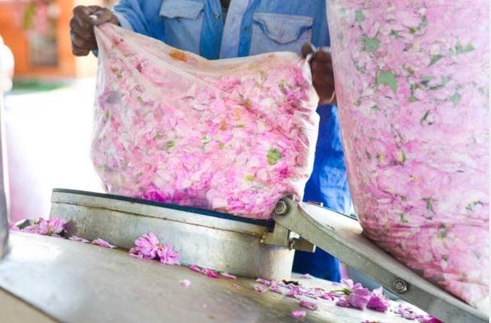 Organic Purifying Rose Cleanser