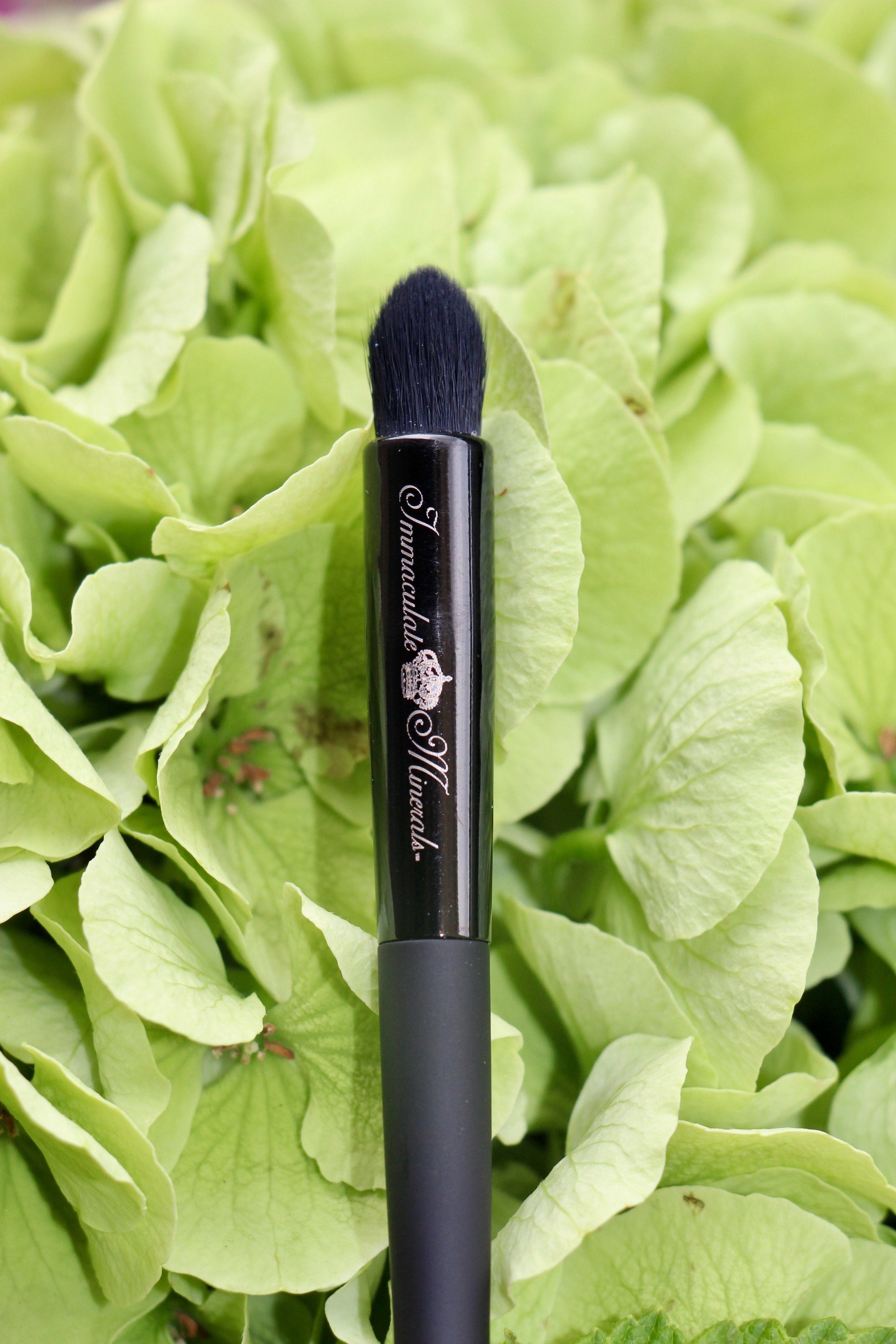 Immaculate Diamond Contour Blending Brush - Images by Miriam